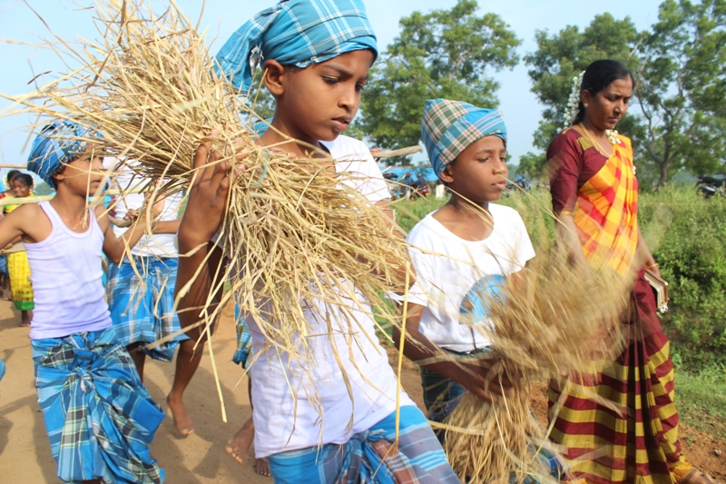 Farmers' festival celebrated in Batticaloa Tamil Guardian